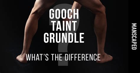 what is a gooch on the human body male|Let’s Talk About The Gooch: The Most Neglected Part。